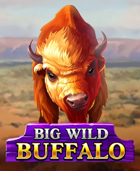 Play Big Wild Buffalo at Zamba Casino